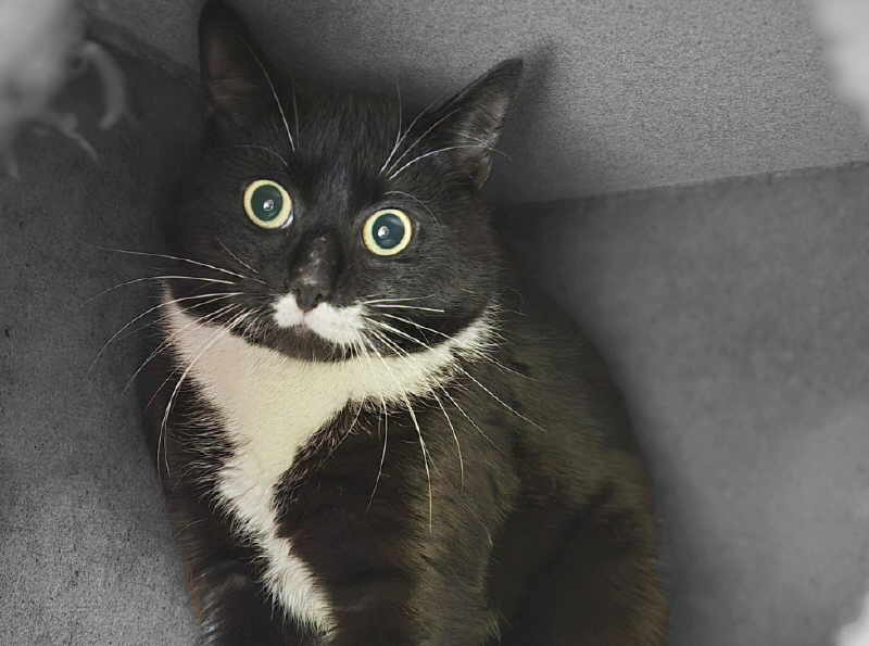 c0108